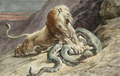 Lion and snake